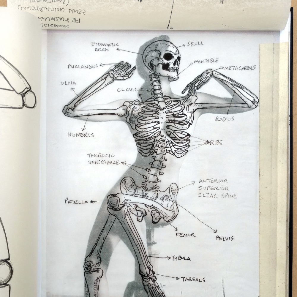 Acupuncture poster